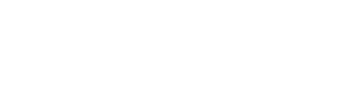 logo img